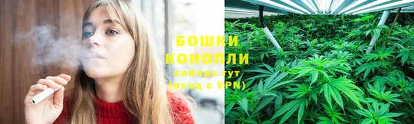стафф Нефтегорск